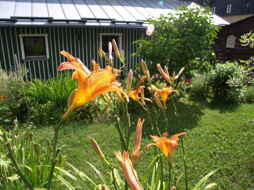 Guest House Luft Sneznik 외부 사진